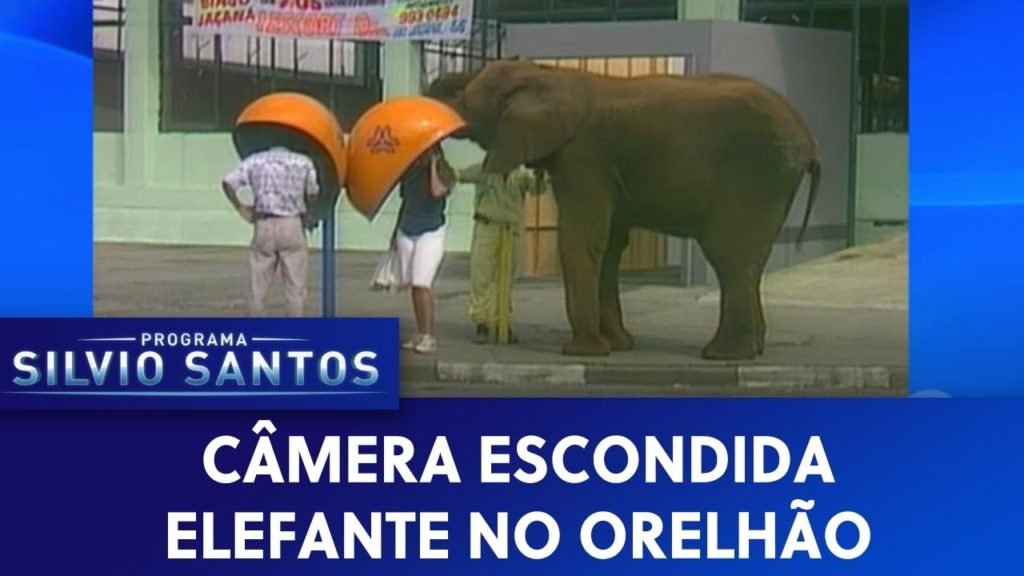 Elefante no Orelhão | Câmeras Escondidas (24/07/20)