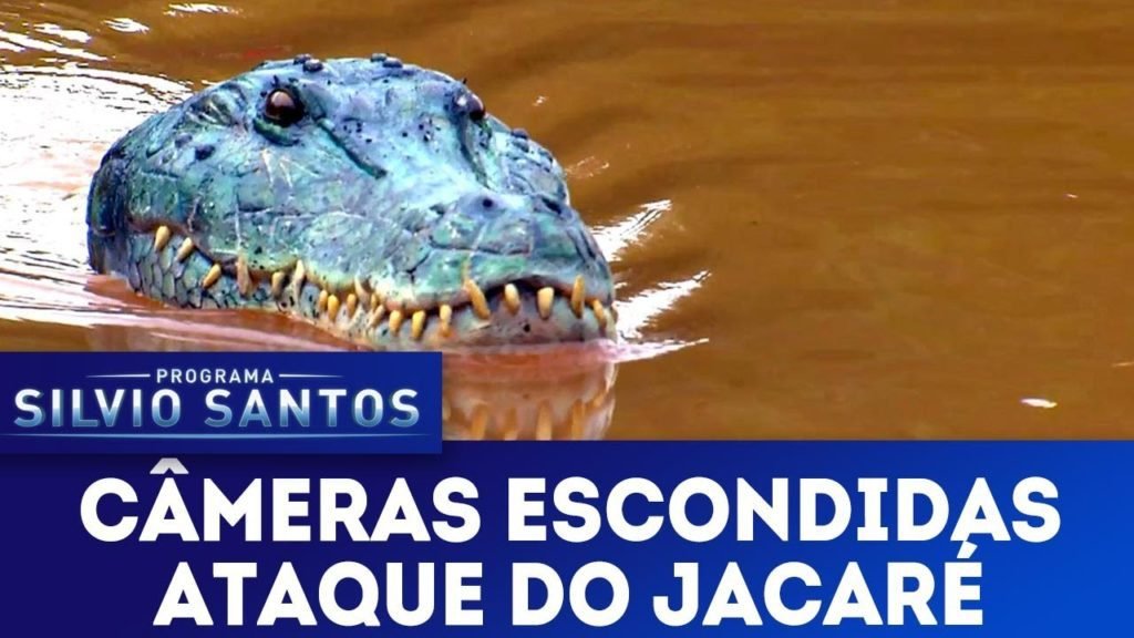 Ataque do Jacaré - Crocodile Attack Prank | Câmeras Escondidas (24/03/19)